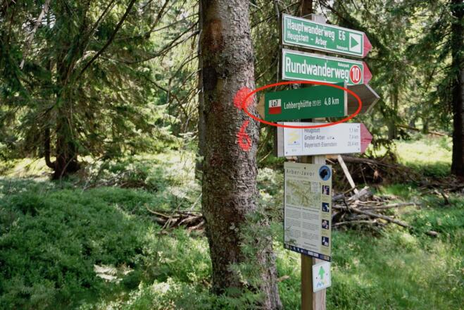 Reischfecksattel - Weiterweg nach Lohberghütte hinunter