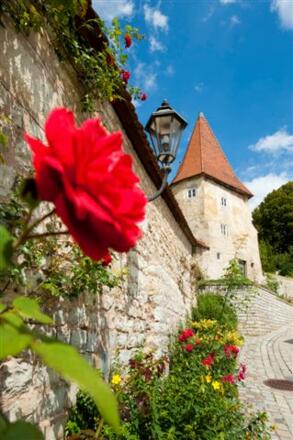 Die historische Stadtmauer Gredings