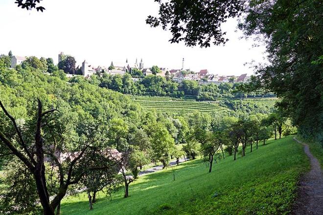 Blick über Obstbaumwiesen hinüber zur alten Reichsstadt