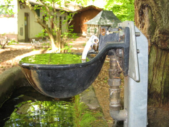 Pferdetränke an der Hohen Warte