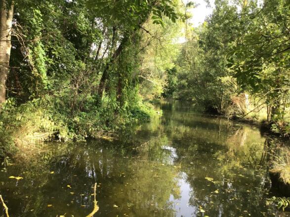 Schleifenroute - Tauber-Landschaft