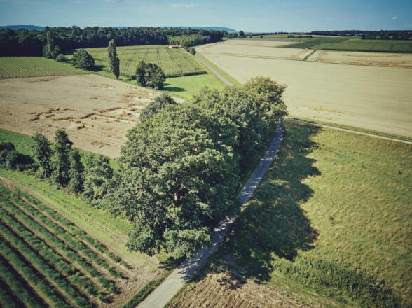 Am Fuße des Steigerwaldes