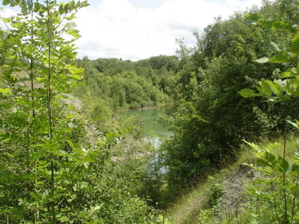 Gipshüttenwanderung bei Endsee