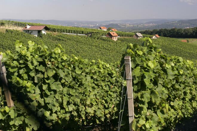 Etappe 1 von Großwallstadt nach Großostheim