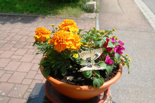 aufmunternder Etappenstart