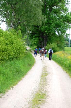 was bringt wohl die nächste Kurve