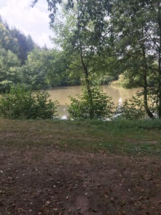 Zurück nach Ebrach vorbei an kleinen Teichen