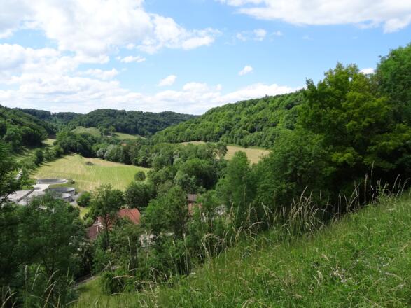 Blick ins Taubertal