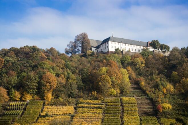 Etappe 5 von Klingenberg nach Großheubach