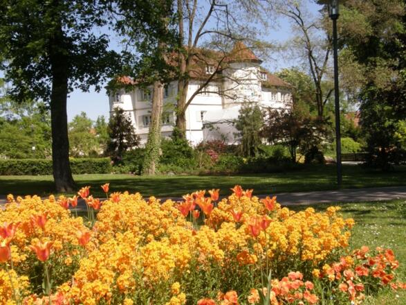 Bad Rappenau Schlosspark - das Bad im Blütenmeer