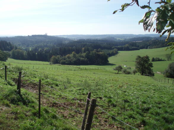 Eigenzell Blick zum Schönenberg