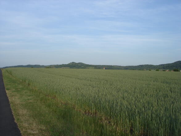So sieht es dort aus. Wo? Wissen wir nicht mehr.