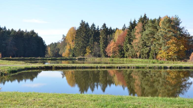 Weiher bei Dinkelsbühl