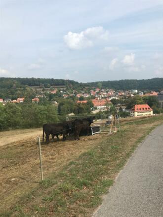 Mit Blick hinunter nach Ebrach