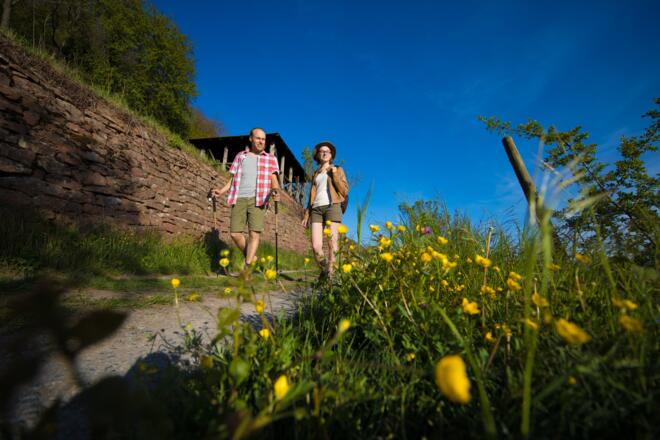 Etappe 6 von Großheubach nach Bürgstadt