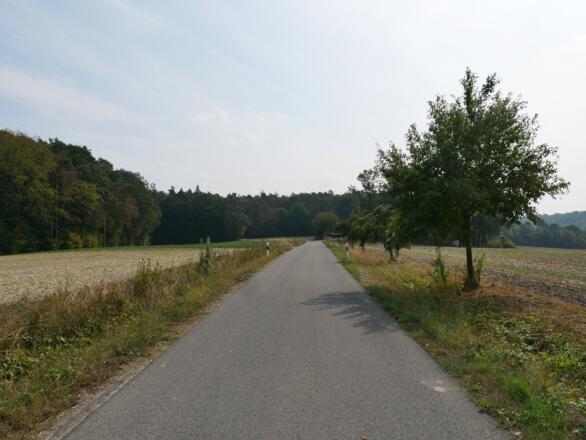 Der Weg in den Ebracher Wald