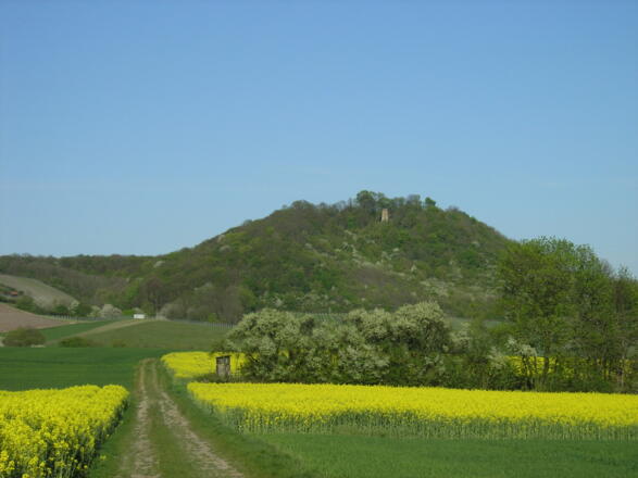 Ausblick über Felder