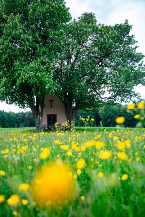 Kapelle Herrenbild Mespelbrunn