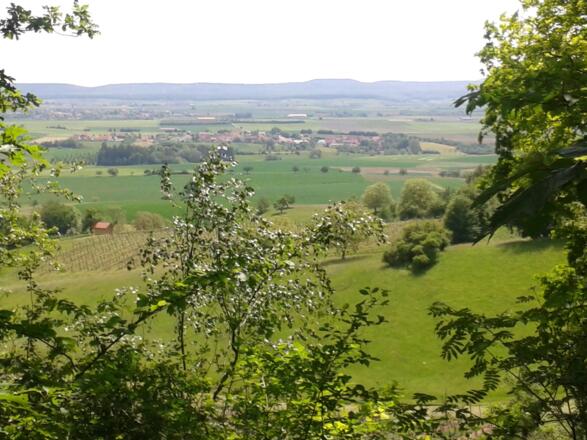 Aussichtpunkt auf der TraumRunde Iphofen