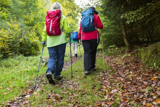 Gleich sind wir oben auf der Geißhöhe