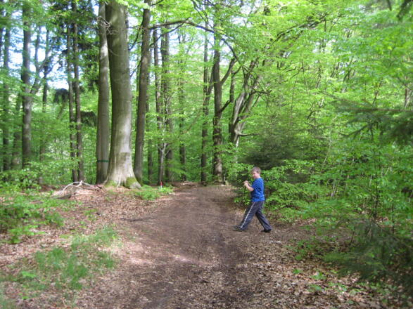 Spessartweg 2 vom Hohe Wart Haus herkommend, da wo Tobias aus dem Waldstück kommt, da geht es rein zum Odenwaldblick