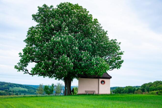 Kapelle Herrenbild Mespelbrunn