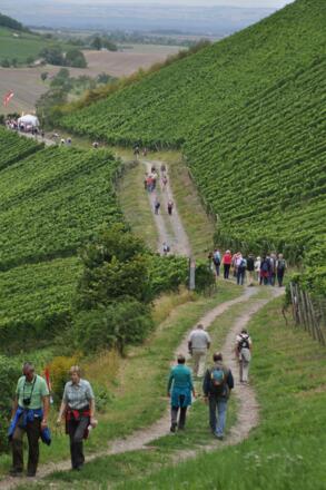 Wandertag in Castell
