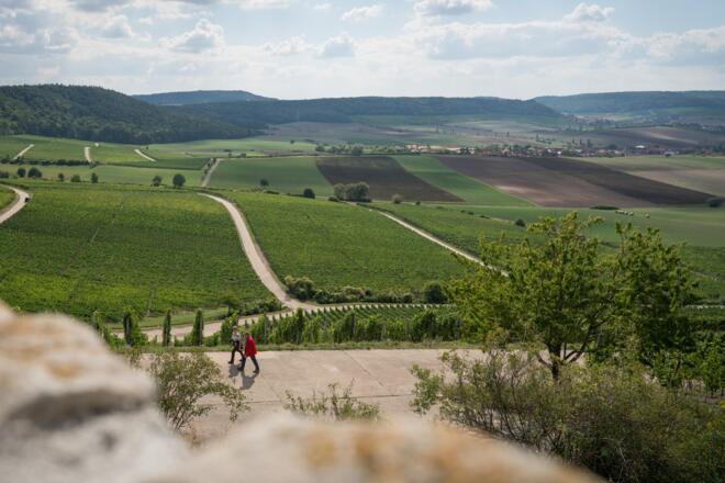 Der Frankenblick - einfach schön!