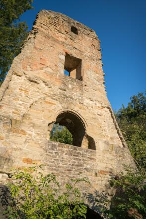 Ruine Speckfeld