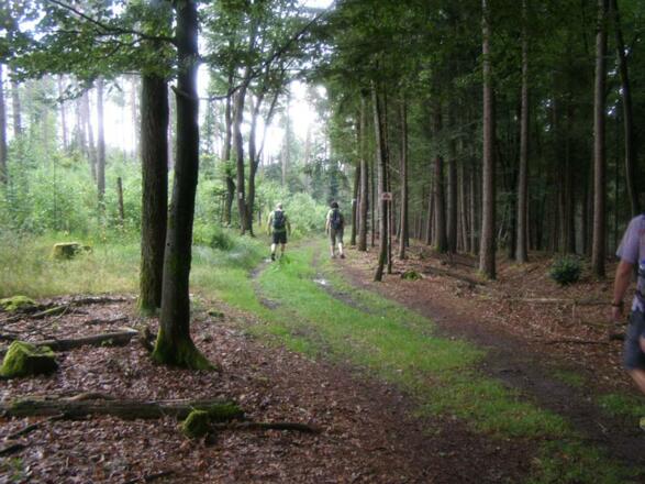 hier führte auch die Strecke unsres Wanderevents &quot;12h im RÄUBERLAND&quot; entlang