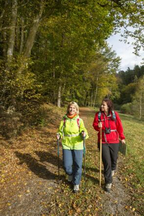 am Waldsee in Heimbuchenthal