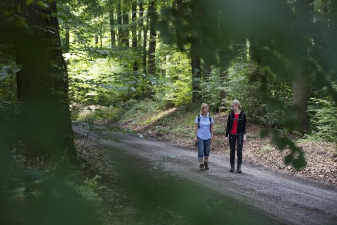 Wandern im Spessart