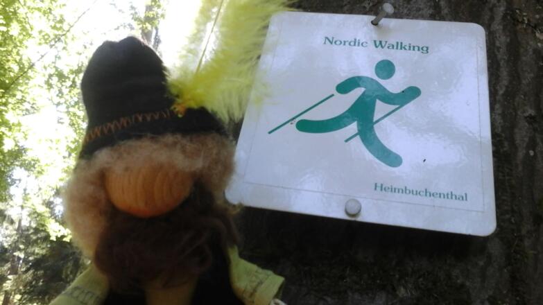 Markierungszeichen Grüner Nordic Walking Weg von Heimbuchenthal mit RÄUBERHANNES