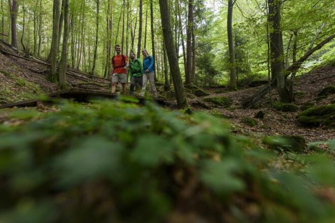 auf dem &quot;Alten Schulweg&quot;