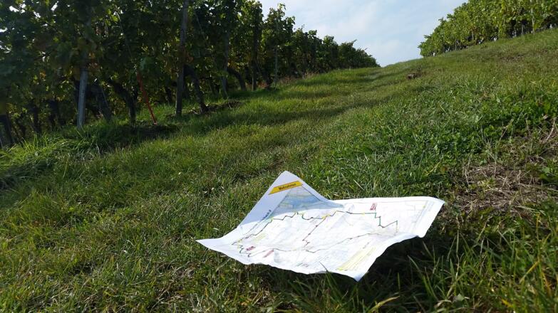 Wanderkarte in Dettelbach