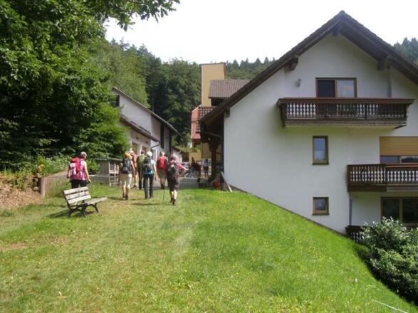 hinterm Waldhotel Heppe/ hier führte auch die Strecke an unserem Wanderevent &quot;12h im RÄUBERLAND&quot; entlang