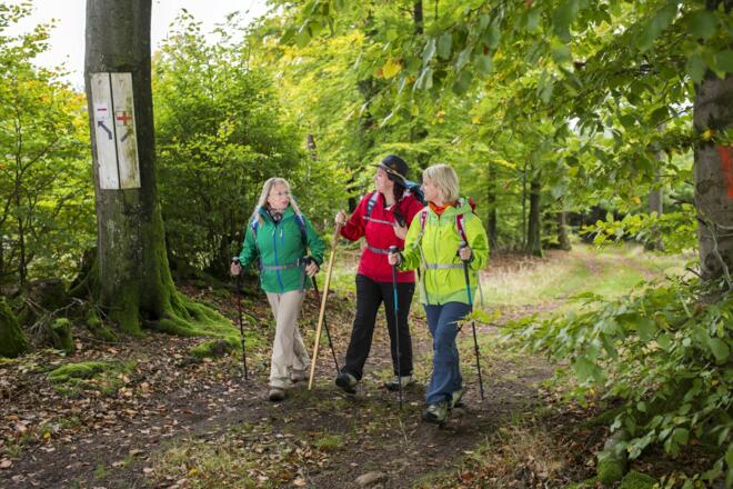 Wandern auf der Qualitätstour Dammbach auf naturnahen Wegen