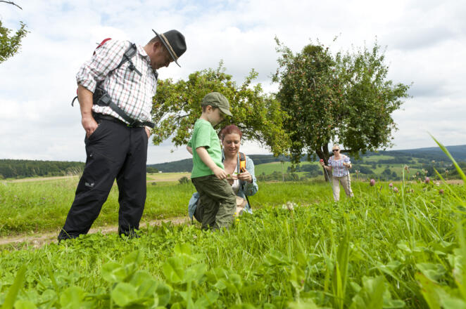Wandern mit Kindern im RÄUBERLAND