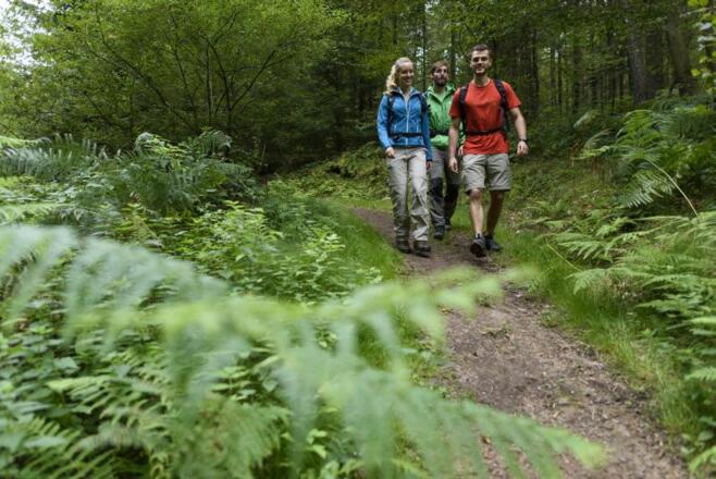 Auf dem &quot;Alten Schulweg&quot;