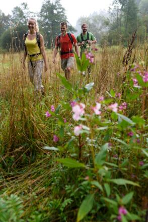 Wanderung durchs Hafenlohrtal