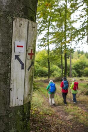 hier geht es nach rechts weiter , runter nach Dammbach zum Neuhammer - auf der Qualitätstour Dammbach