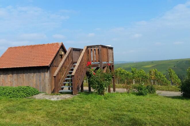 Bester Aussichtspunkt auf die Weininsel bei Neuses a. Berg