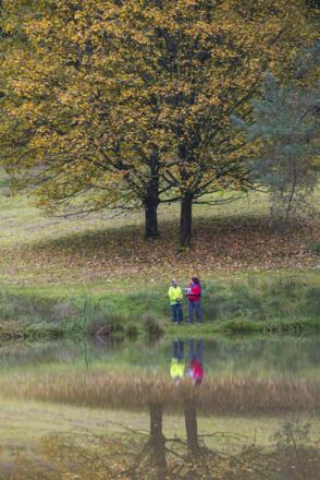 am Waldsee in Heimbuchenthal
