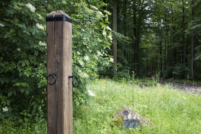 Sagenumwogen Echertspfahl