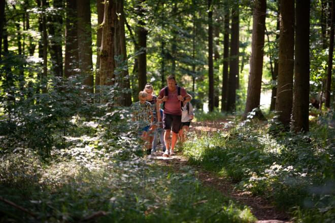 TraumRunde Dornheim, Waldwanderweg