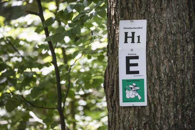 Wegemarkierung beim Echterspfahl