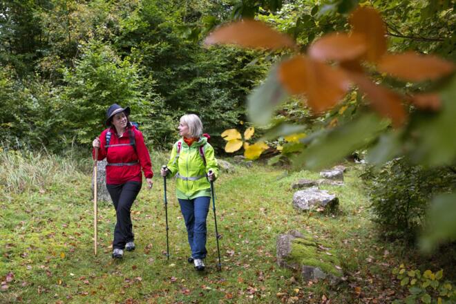 Wandern auf dem &quot;Alten Schulweg&quot;