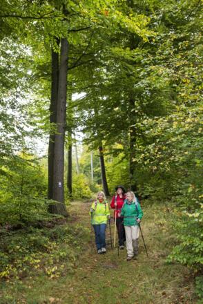 Gleich sind wir am Gasthof Geißhöhe und können uns stärken !!!