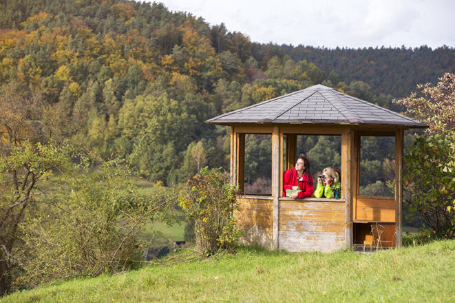 Ausblick am Panoramaweg Heimbuchenthal