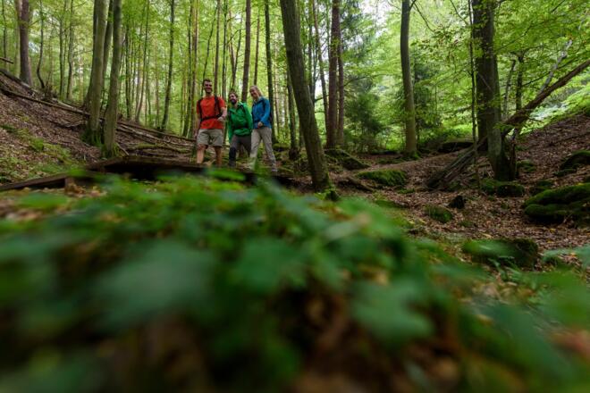 Streckenabschnitt &quot;Alter Schulweg&quot;